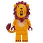 Lion Suit
