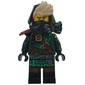 Mysterious Ronin