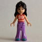 Liann, Reddish Orange Top, Lavender Pants