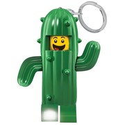 Cactus Boy Key Light