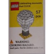 Celebrating Moments That CLICK Light Bulb