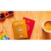 LEGO House Passport Cover