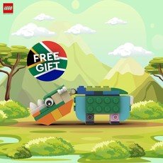 South African Rhino (set RHINO-1)
