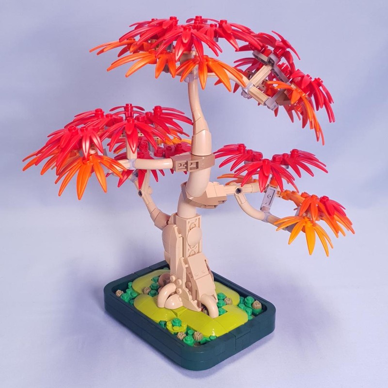 Review: 10348-1 - Japanese Red Maple Bonsai Tree