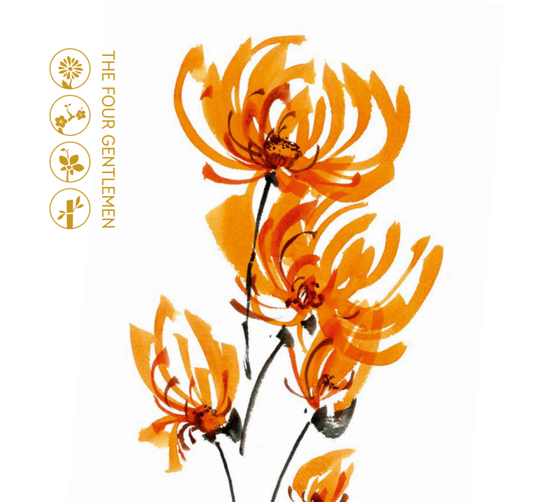 Review: 10343-1 - Mini Orchid & 10344-1 - Lucky Bamboo