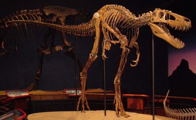 LEGO MOC-179697 31129 Jane the Nanotyrannus lethaeus by Ambrosino ...